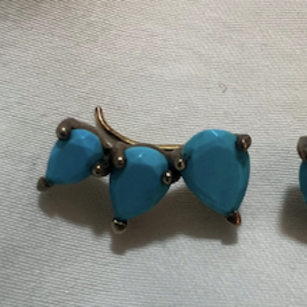 Turquoise Earrings by Leah Alexander